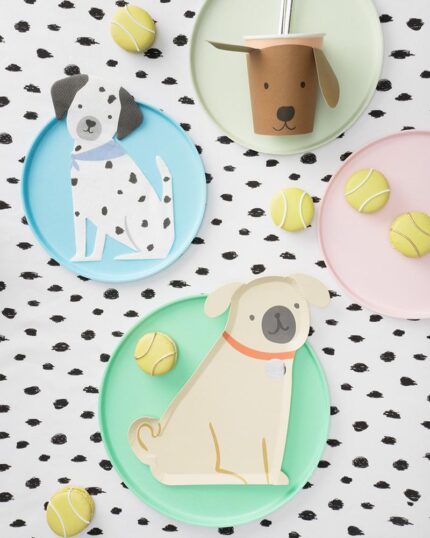 Petrecere tematica Cateluis - PartyBalloons.ro