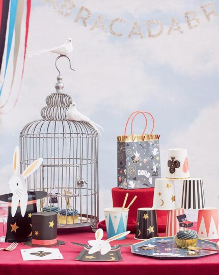 Petrecere tematica MAgie - Hocus Pocus | PartyBalloons.ro